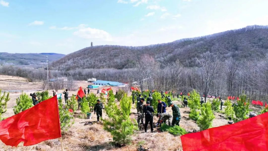 메이저 놀이터 순위