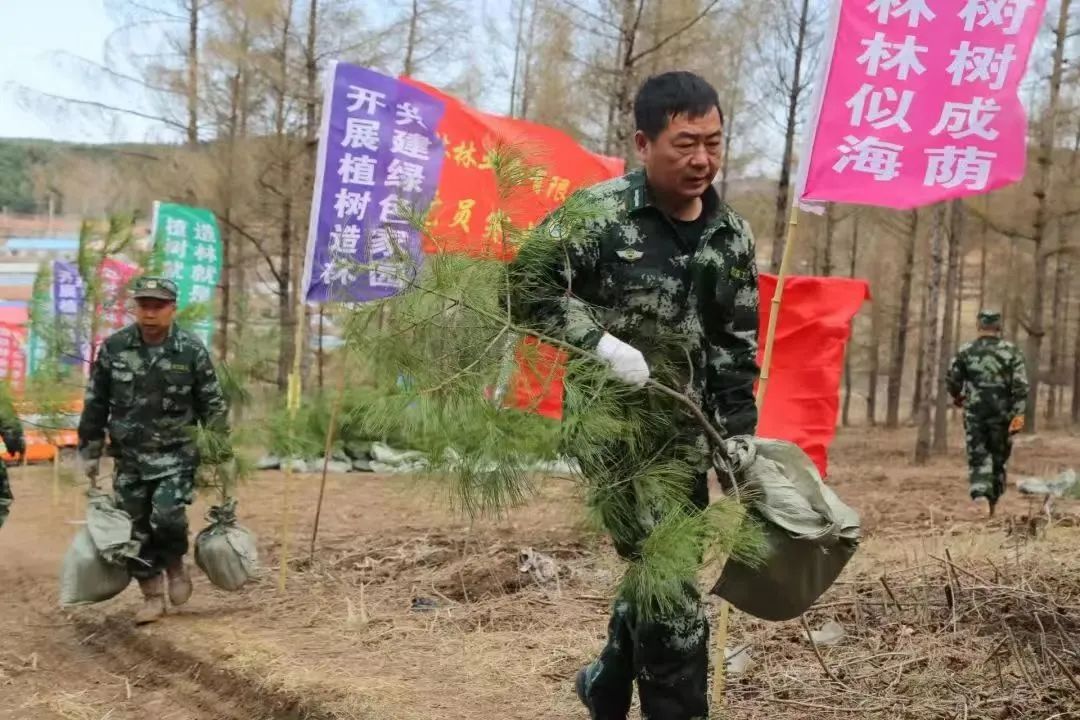 메이저 놀이터 순위