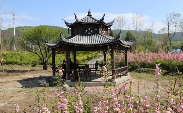 토토 놀이터