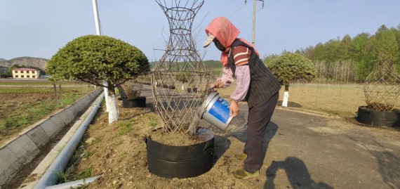 토토 놀이터