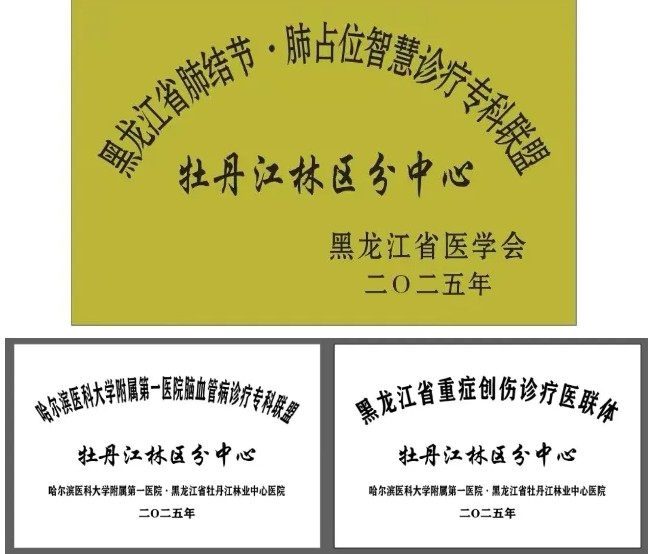 놀이터 토토 도메인