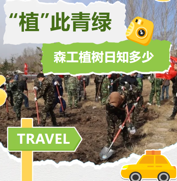 놀이터 토토
