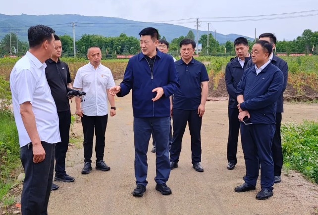 토토 놀이터
