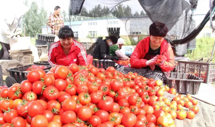 토토 놀이터