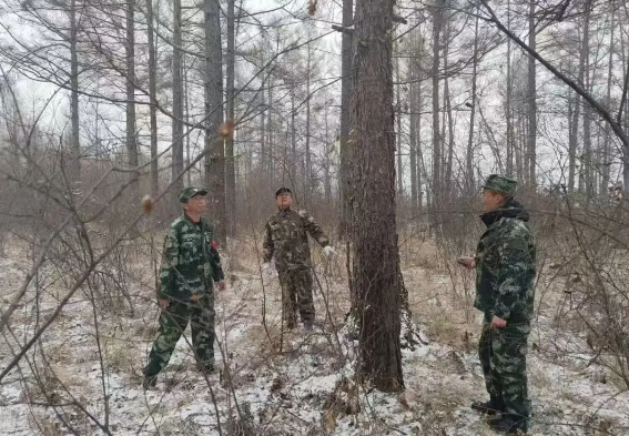 안전 놀이터 추천