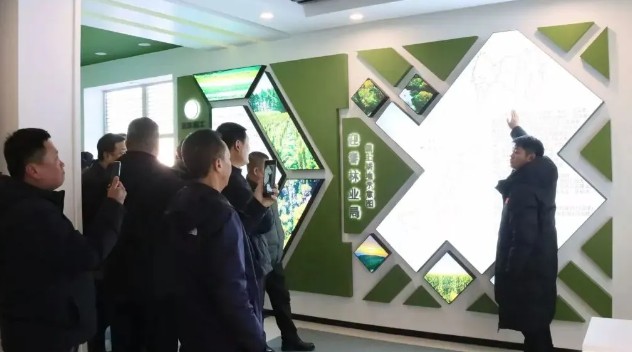 놀이터 사이트