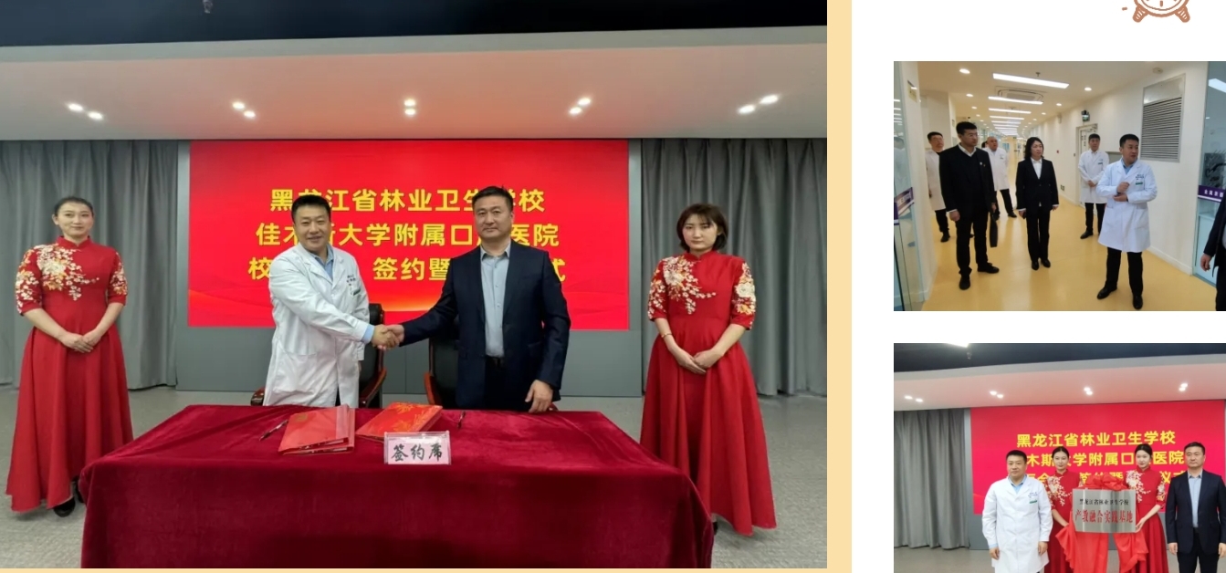 놀이터 사이트